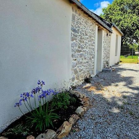 Gite De Felicite, Calme Et Nature Savenay Bagian luar foto